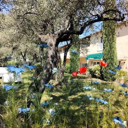 La Picholine-2